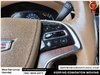 2016 Cadillac Escalade Platinum Edition-18