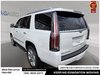 2016 Cadillac Escalade Platinum Edition-6