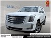 2016 Cadillac Escalade Platinum Edition-0
