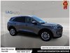 2022 Ford Escape Hybrid SE-10