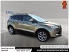 2013 Ford Escape SEL-10