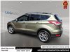 2013 Ford Escape SEL-4