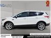 2013 Ford Escape Titanium-3