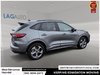 2024 Ford Escape ST-Line Select-8