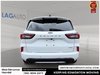 2024 Ford Escape ST-Line-6