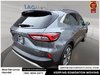 2025 Ford Escape Platinum-8