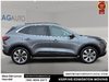 2025 Ford Escape Platinum-10