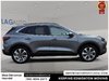 2025 Ford Escape Platinum-9