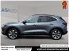 2025 Ford Escape Platinum-3