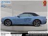 2025 Ford Mustang EcoBoost Premium-4