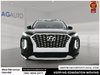 2021 Hyundai Palisade Luxury-1