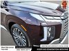 2023 Hyundai Palisade Ultimate-11