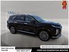2025 Hyundai Palisade Ultimate-10