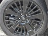 2026 Hyundai Santa Fe Hybrid Ultimate Calligraphy-6
