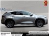 2023 Lexus NX 350h Base-9