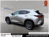 2023 Lexus NX 350h Base-4