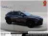 2025 Subaru Crosstrek Wilderness-10