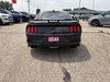 2022 Ford Mustang GT-3