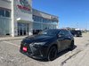2024 Lexus NX 350h-0