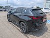 2024 Lexus NX 350-2
