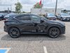 2024 Lexus NX 350-5