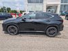 2024 Lexus NX 350-1