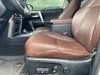 2024 Toyota 4Runner 4DR 4WD-6