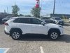 2023 Toyota RAV4 LE-3
