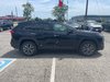 2025 Toyota RAV4 Hybrid Limited-3
