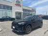 2025 Toyota RAV4 Hybrid Limited-0