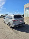2025 Toyota Sienna XSE-1