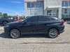 2024 Toyota Venza Limited-1
