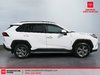 2023 Toyota RAV4 XLE-4
