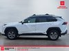 2024 Toyota RAV4 Hybrid XLE-6