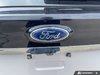 2019 Ford EDGE SEL-8