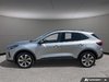 2024 Ford Escape Platinum-2