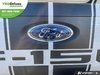 2022 Ford F-150 XLT-SPORT-CUSTOM-8