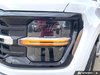 2025 Ford F-150 XLT-7