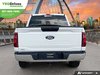 2025 Ford F-150 XLT-4