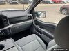 2025 Ford F-150 XLT-24