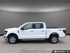 2025 Ford F-150 XLT-2