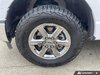 2025 Ford F-150 XLT-5