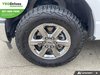 2025 Ford F-150 XLT-5