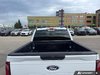 2025 Ford F-150 XLT-11