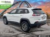 2020 Jeep Cherokee Trailhawk-3