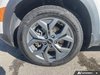2025 Kia Seltos EX-5