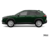 XLE AWD