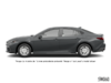 SE