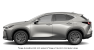 NX PHEV