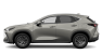 NX